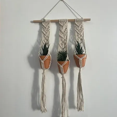 Atlantic Dream Alto Mar Garajau