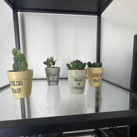 Atlantic Dream Alto Mar *