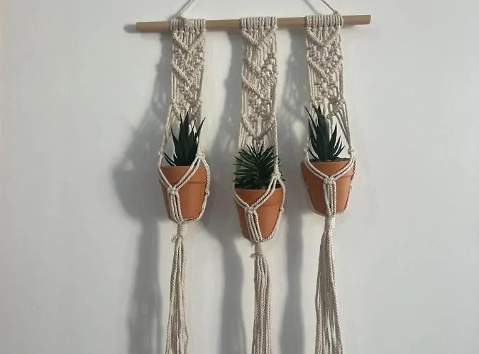 Atlantic Dream Alto Mar Garajau