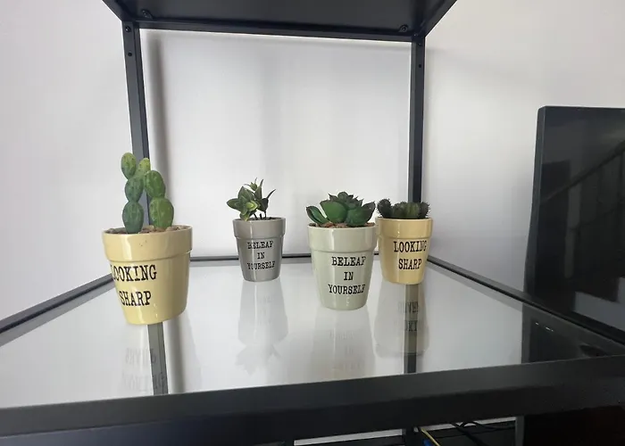 Atlantic Dream Alto Mar *